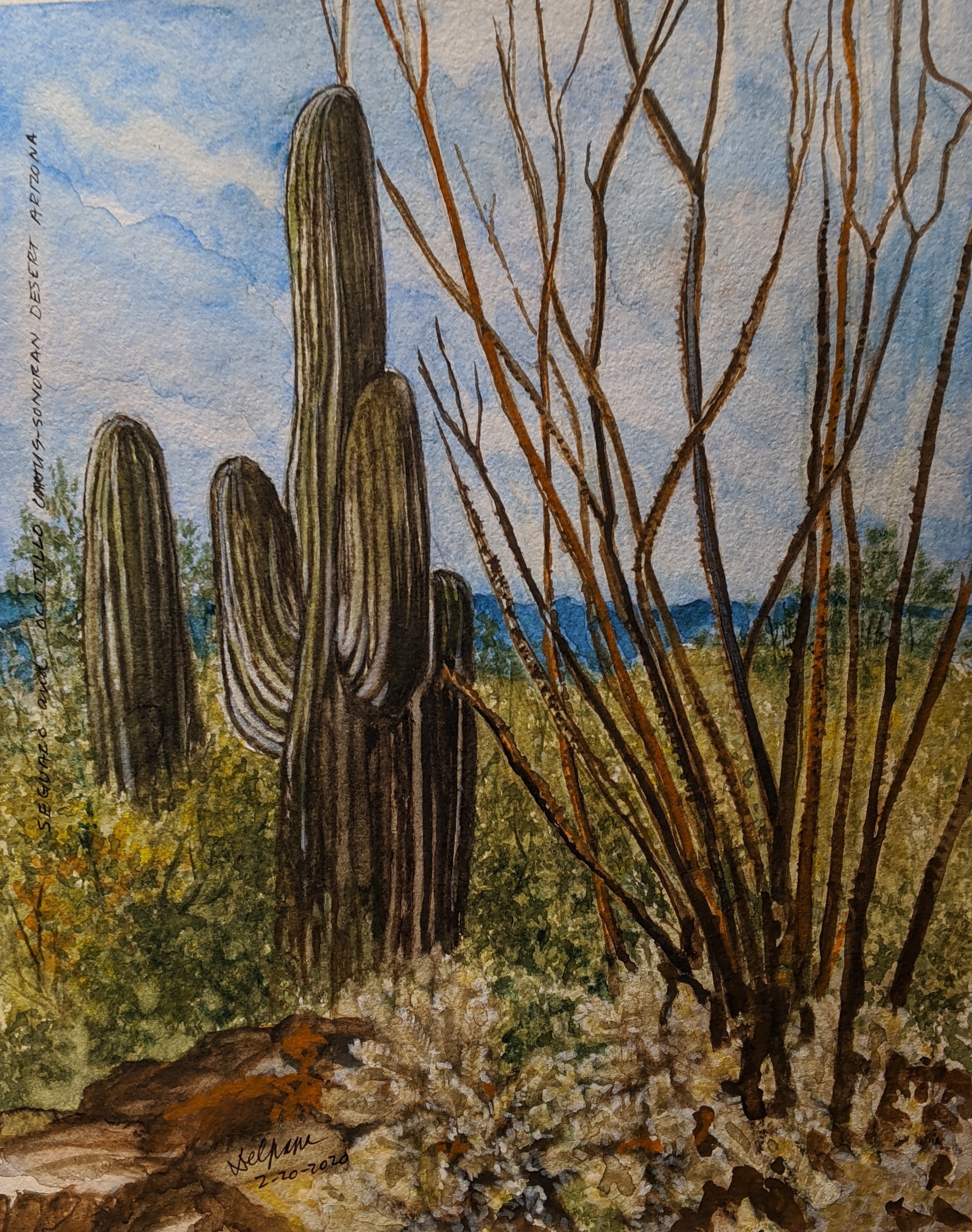 Arizona Desert Watercolor Paintings & Southwest Landscapes – Tin Shop ...