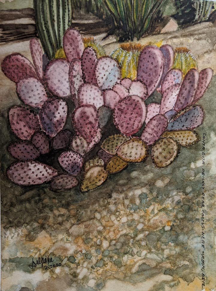 prickly pear cactus botanical illustration Cactus- Santa Rita Prickly Pear" Original Watercolor Painting – Tin Shop Gallery
