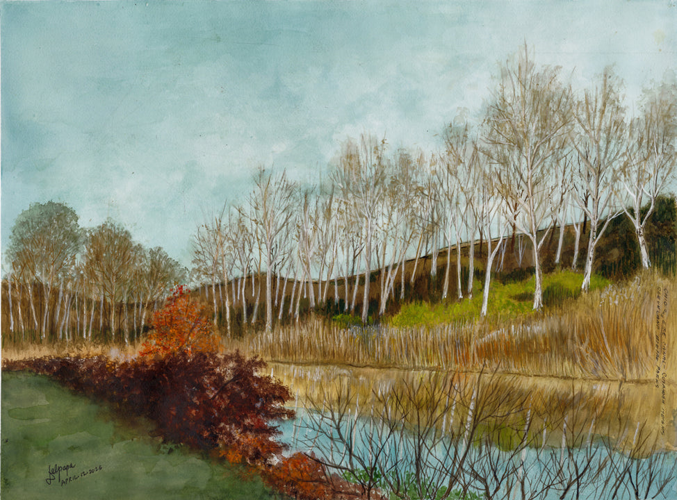Watercolor painting of the Ohio and Erie Canal in Cleveland Metroparks, featuring calm water, birch trees, grassy banks, and a peaceful natural landscape.