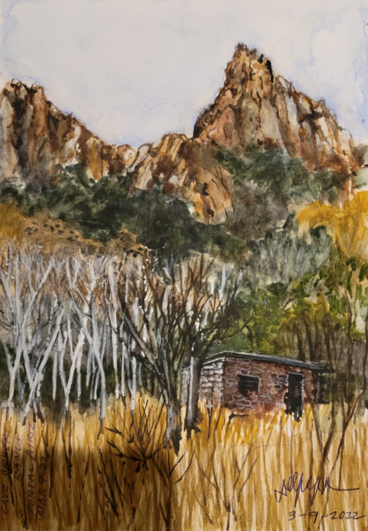 Small Abandoned Adobe Near Portal, AZ