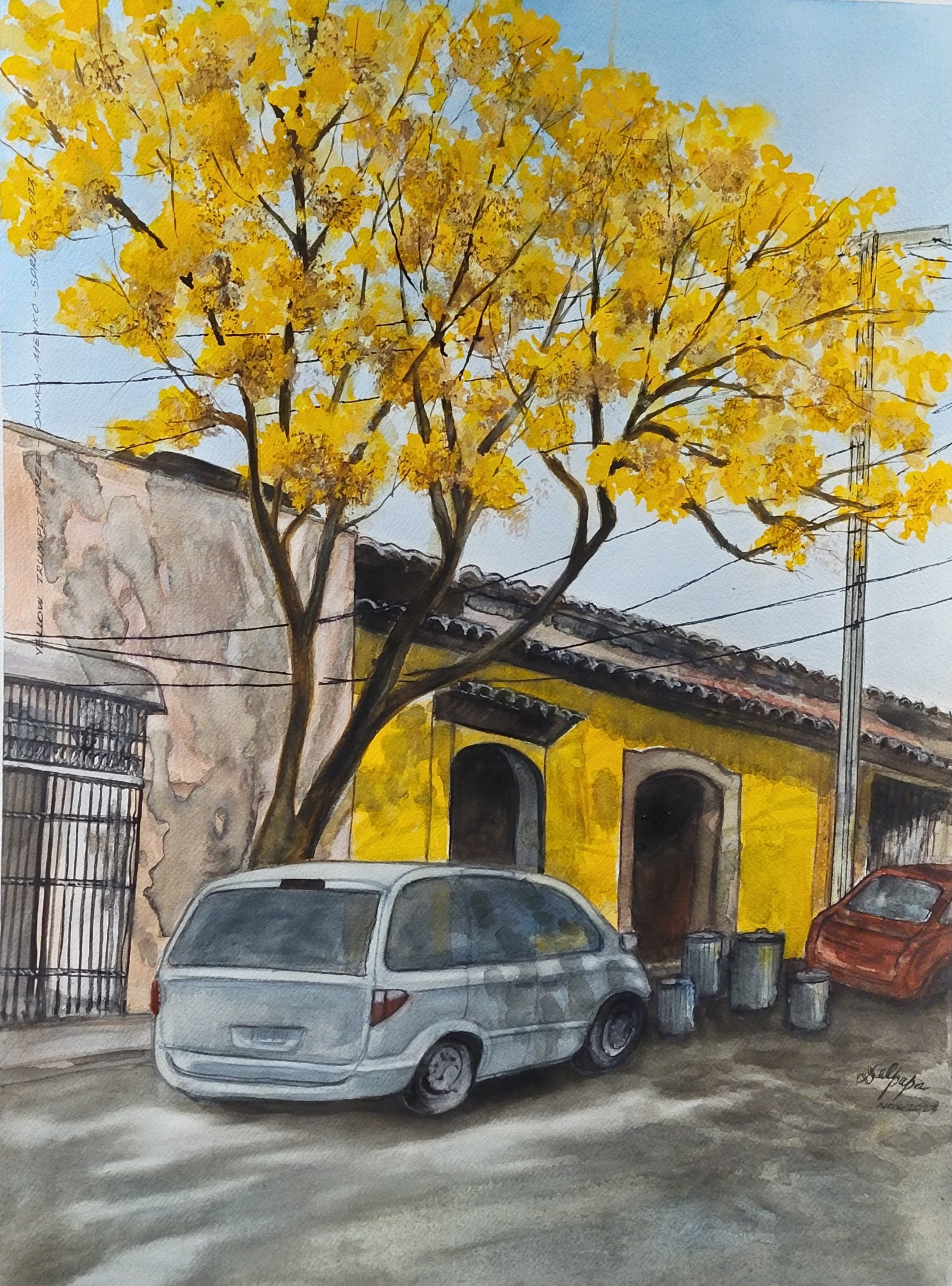 Street Scenes
