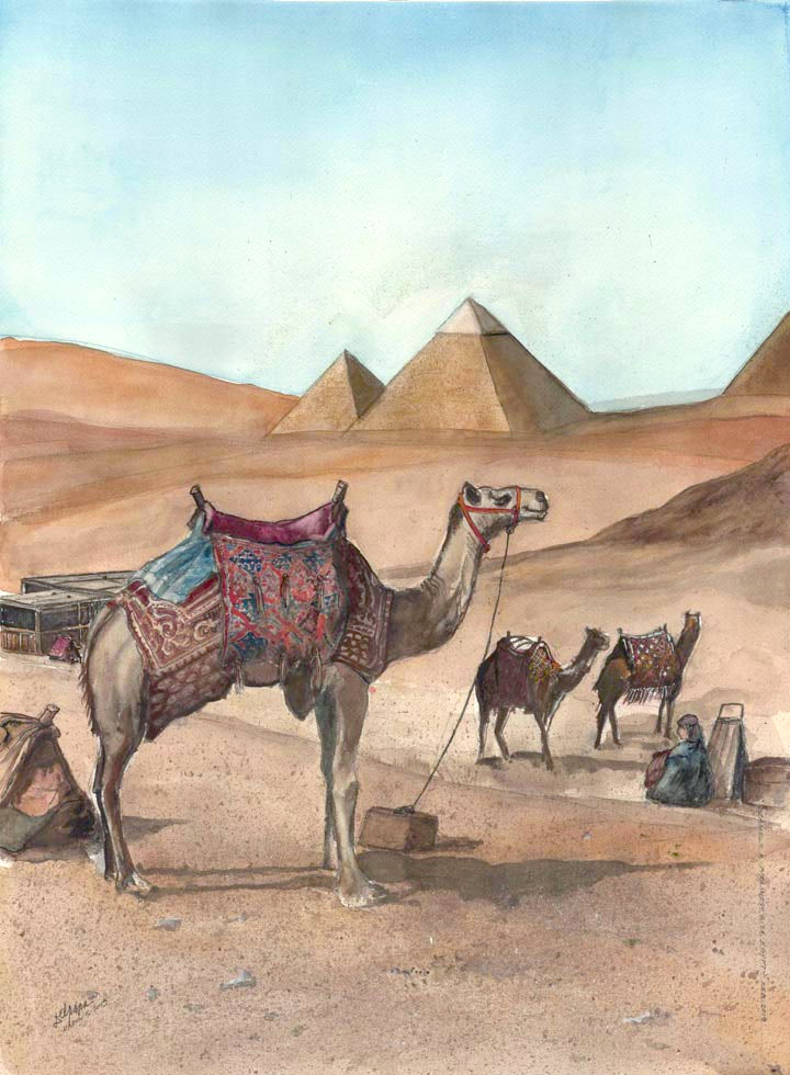 Camels and Pyramids in Giza