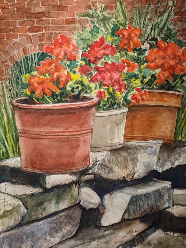 Geraniums on the Stone Wall