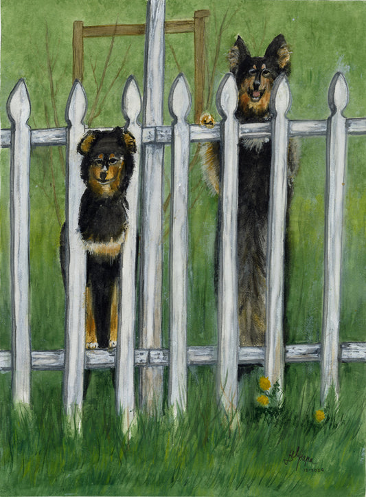 Happy Dogs