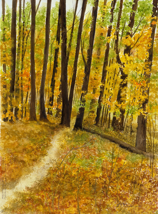 Mill Stream Run Reservation