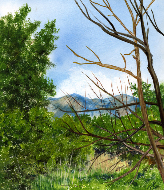 Montrose, Colorado