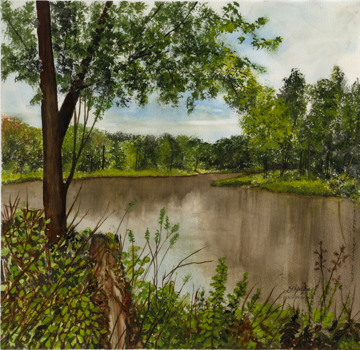North Chagrin Reservation