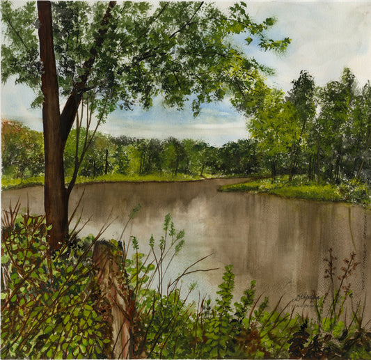 North Chagrin Reservation