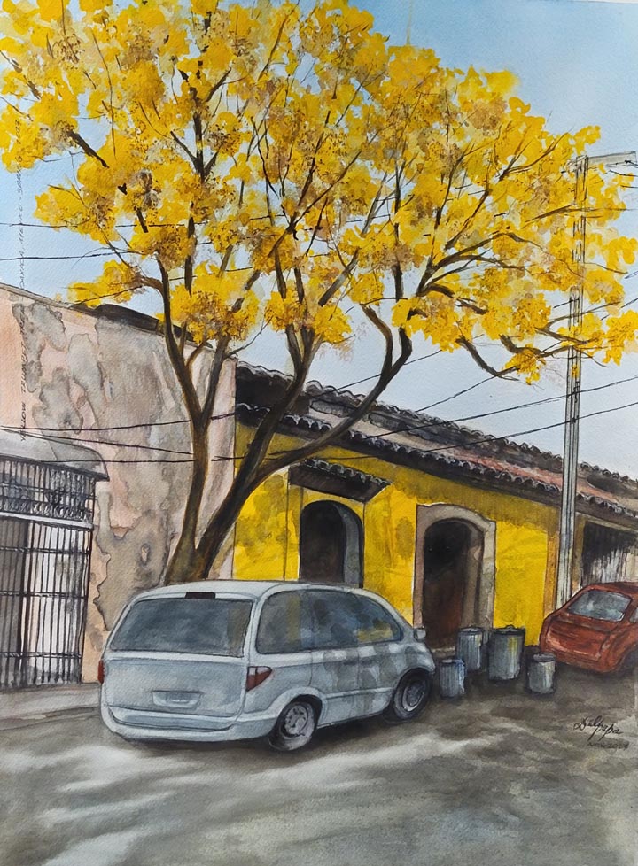 Oaxaca Street Scene