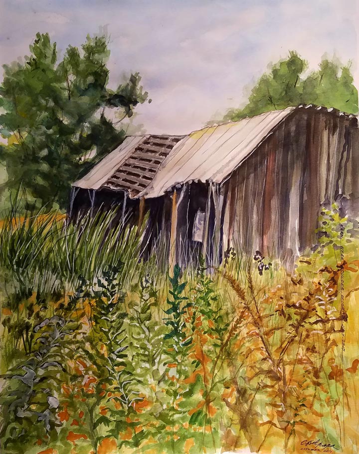 Old Barn on Bobolink Trail in the Mountains near Boulder