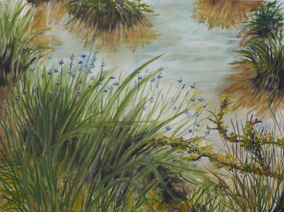 Watercolor painting of Sandy Ridge Reservation in Ohio, featuring water iris, grasses, and soft reflections across a calm wetland landscape.