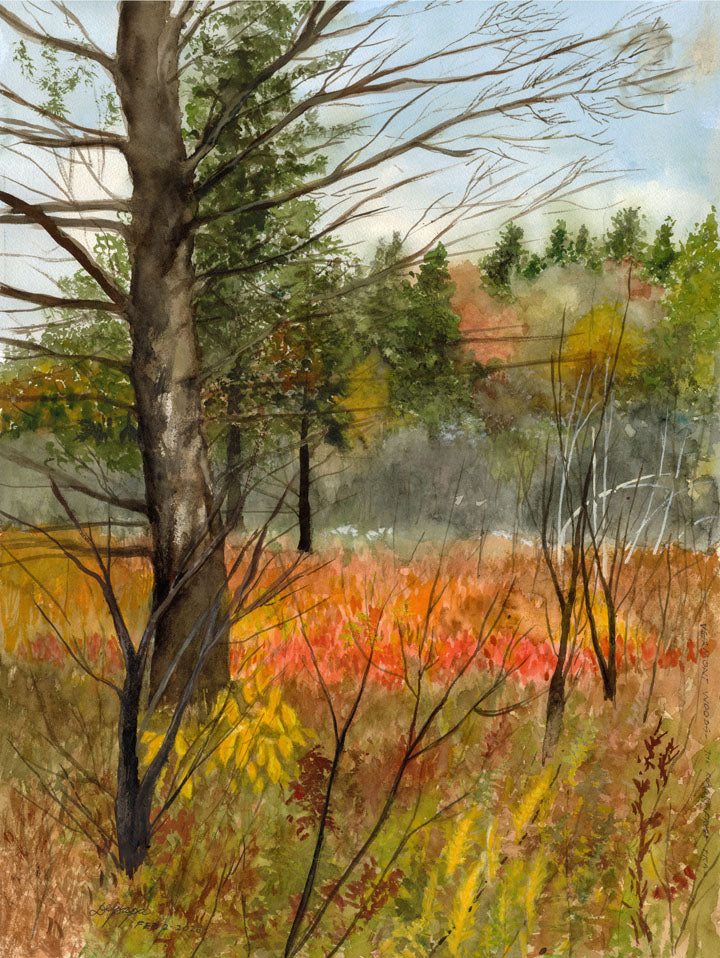 Watercolor painting of Vermont woods in autumn along the Robert Frost Trail, featuring colorful fall foliage, tall trees, and warm-toned grasses in a natural forest landscape.